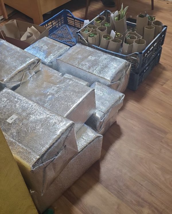 Пакування